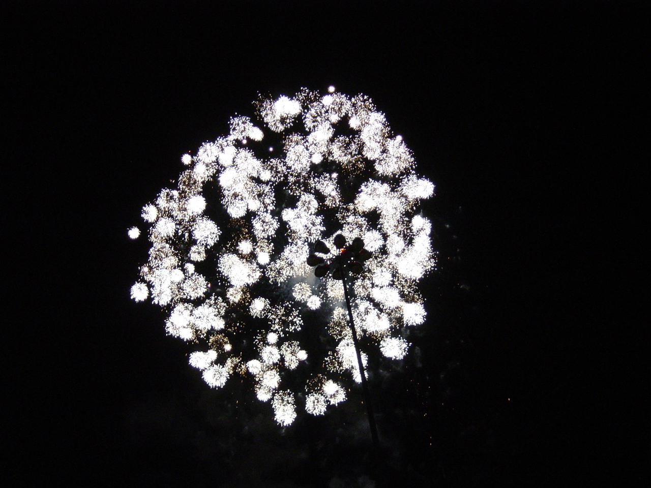 DSC00488.JPG